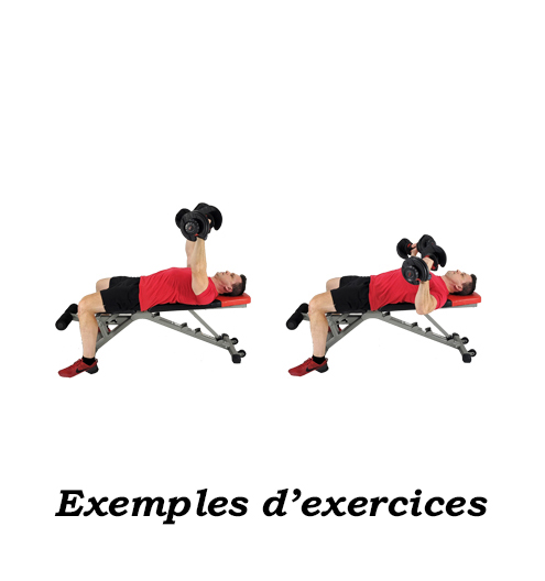 Programme gym plan 01 – Image 3