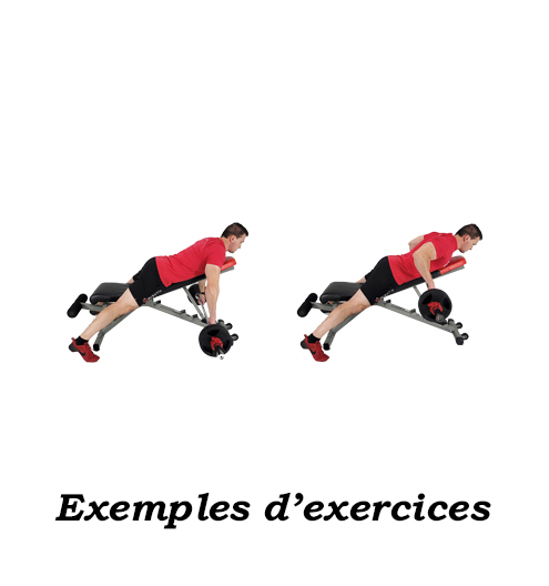 Programme gym plan 01 – Image 2