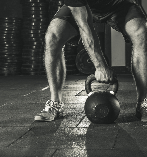 Circuit métabolique 2